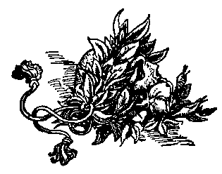 [Illustration] from Otto of the Silver Hand by Howard Pyle