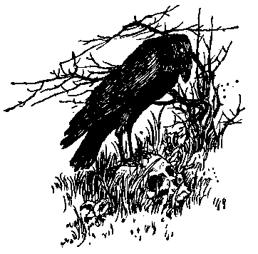 [Illustration] from Otto of the Silver Hand by Howard Pyle