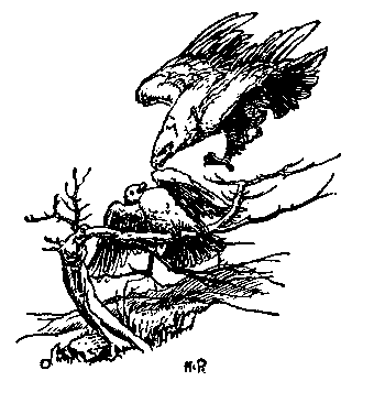 [Illustration] from Otto of the Silver Hand by Howard Pyle