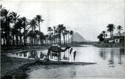 [Illustration] from Boys of the Ages by Laura W. L. Scales