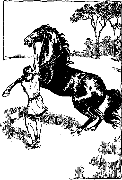 Alexander and Bucephalus