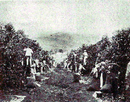 [Illustration] from Our South American Neighbors by G. Southworth