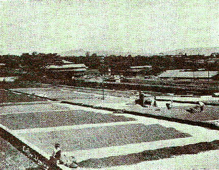 [Illustration] from Our South American Neighbors by G. Southworth