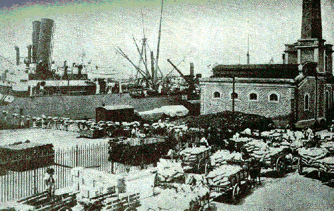 [Illustration] from Our South American Neighbors by G. Southworth