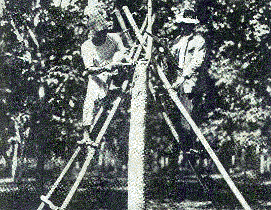 [Illustration] from Our South American Neighbors by G. Southworth