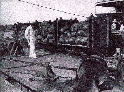 [Illustration] from Our South American Neighbors by G. Southworth