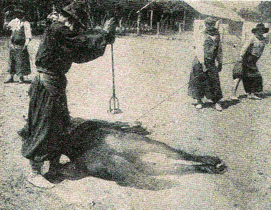 [Illustration] from Our South American Neighbors by G. Southworth