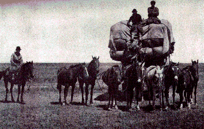 [Illustration] from Our South American Neighbors by G. Southworth