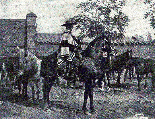 [Illustration] from Our South American Neighbors by G. Southworth