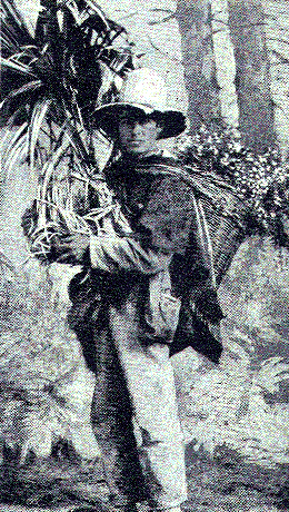 [Illustration] from Our South American Neighbors by G. Southworth