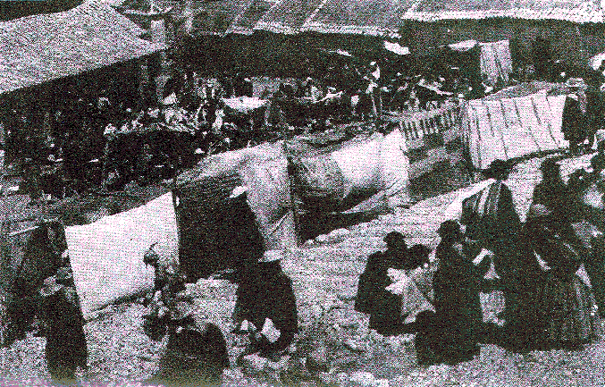 [Illustration] from Our South American Neighbors by G. Southworth