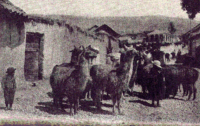 [Illustration] from Our South American Neighbors by G. Southworth