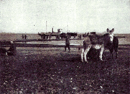 [Illustration] from Our South American Neighbors by G. Southworth