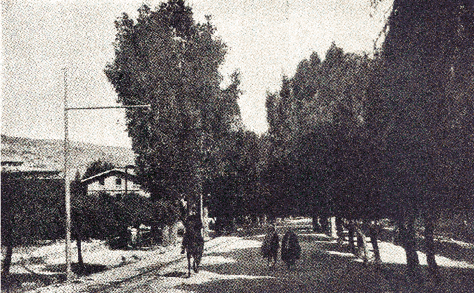 [Illustration] from Our South American Neighbors by G. Southworth