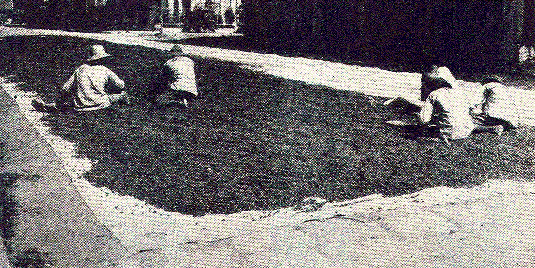 [Illustration] from Our South American Neighbors by G. Southworth