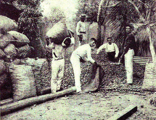 [Illustration] from Our South American Neighbors by G. Southworth