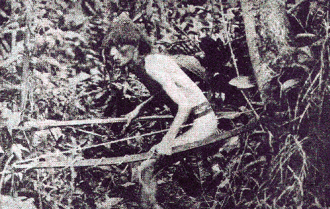 [Illustration] from Our South American Neighbors by G. Southworth