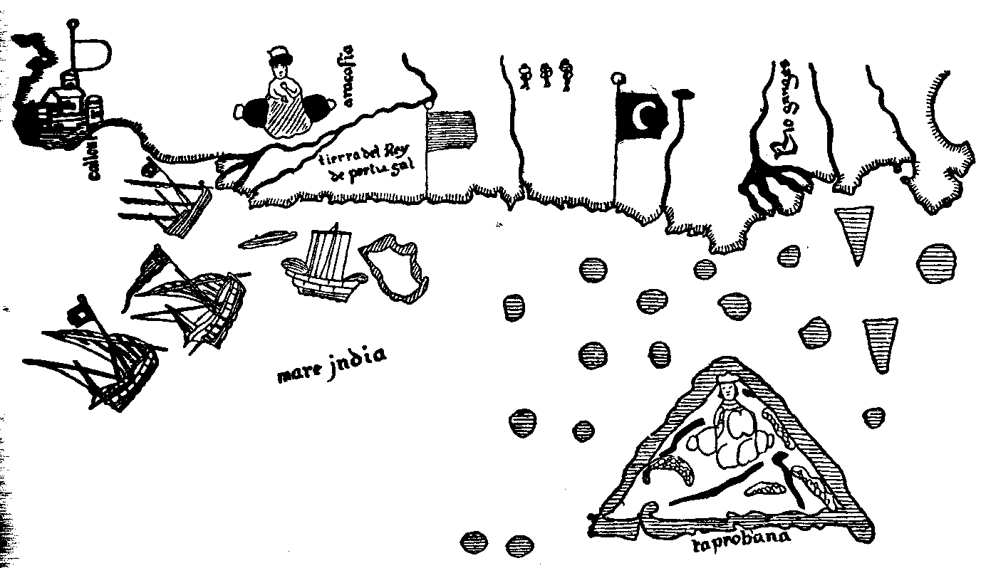 [Illustration] from Book of Discovery by M. B. Synge