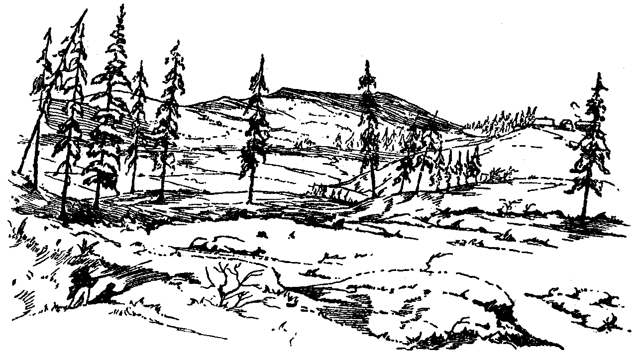 [Illustration] from Book of Discovery by M. B. Synge