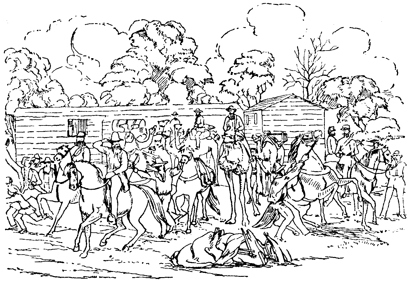 [Illustration] from Book of Discovery by M. B. Synge