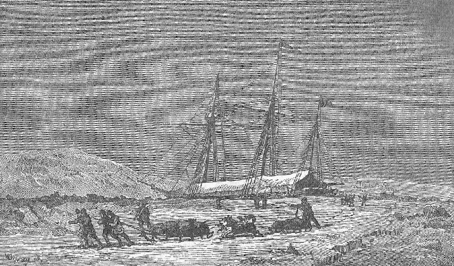 Exploring parties in the Artic