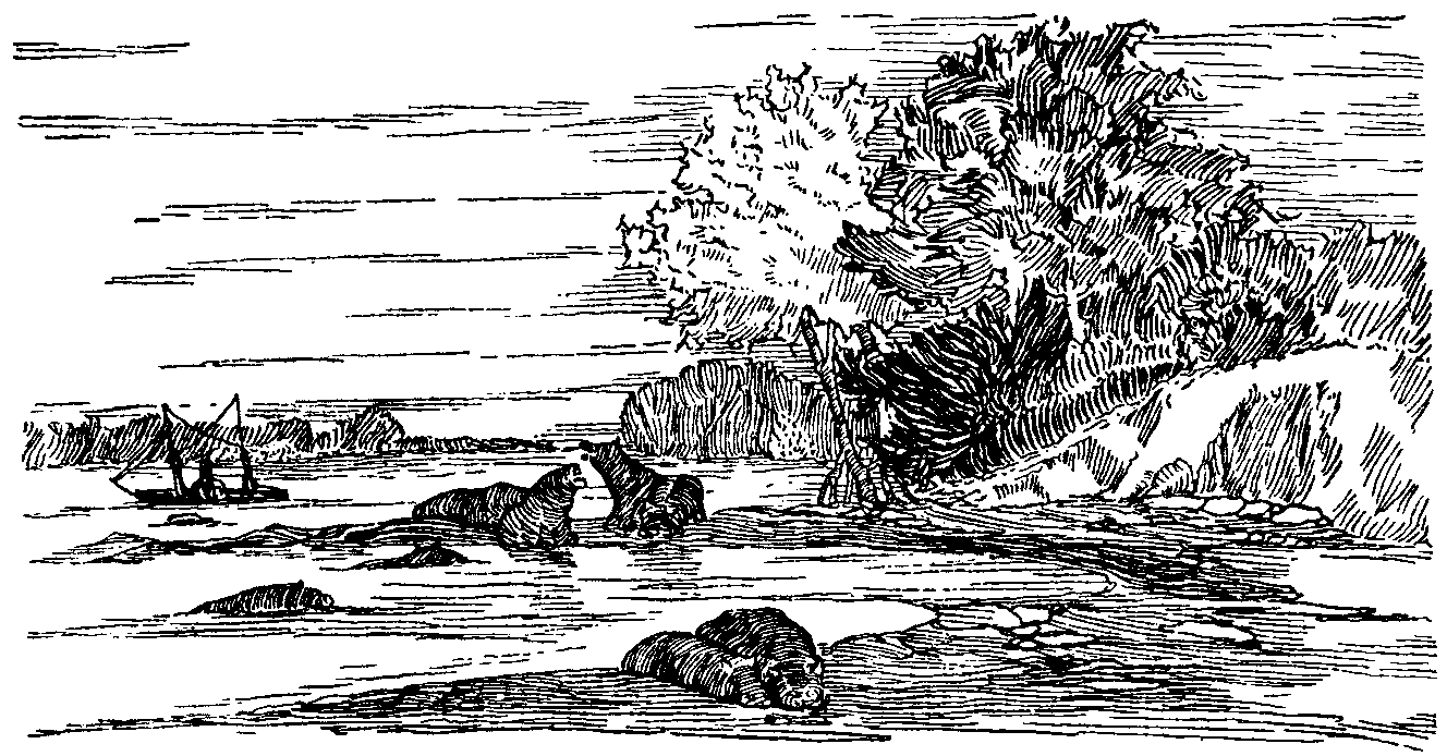 [Illustration] from Book of Discovery by M. B. Synge