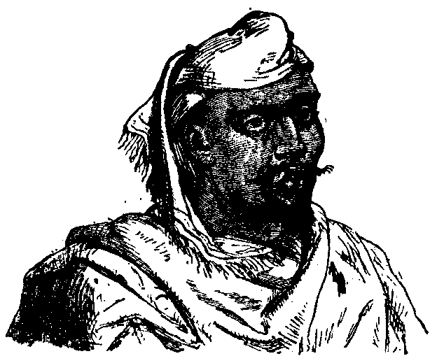 Susi, Livingstone's servant