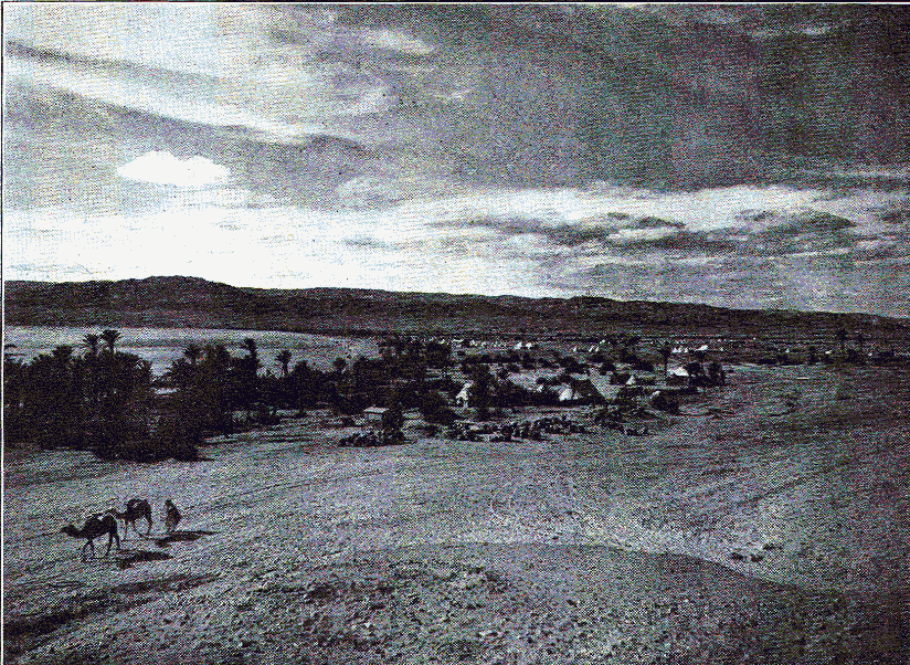 British camp in Palestine