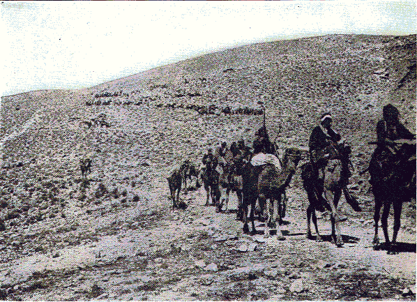 British troops in Palestine