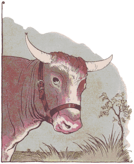 [Illustration] from Aesop for Children by Milo Winter