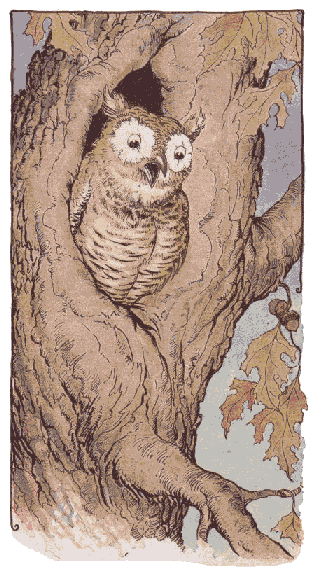 [Illustration] from Aesop for Children by Milo Winter