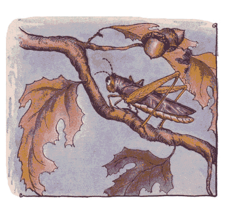 [Illustration] from Aesop for Children by Milo Winter