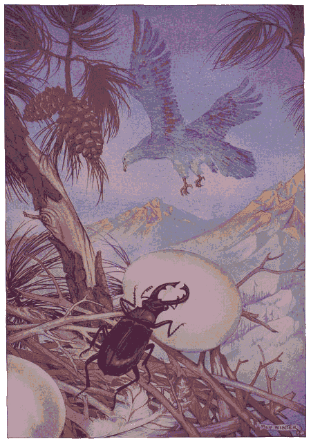 [Illustration] from Aesop for Children by Milo Winter