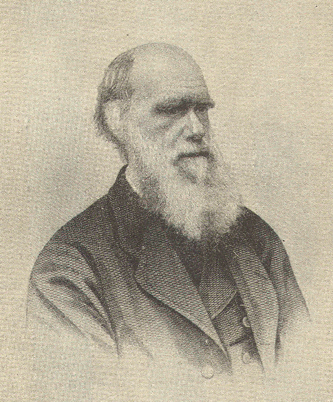 Darwin