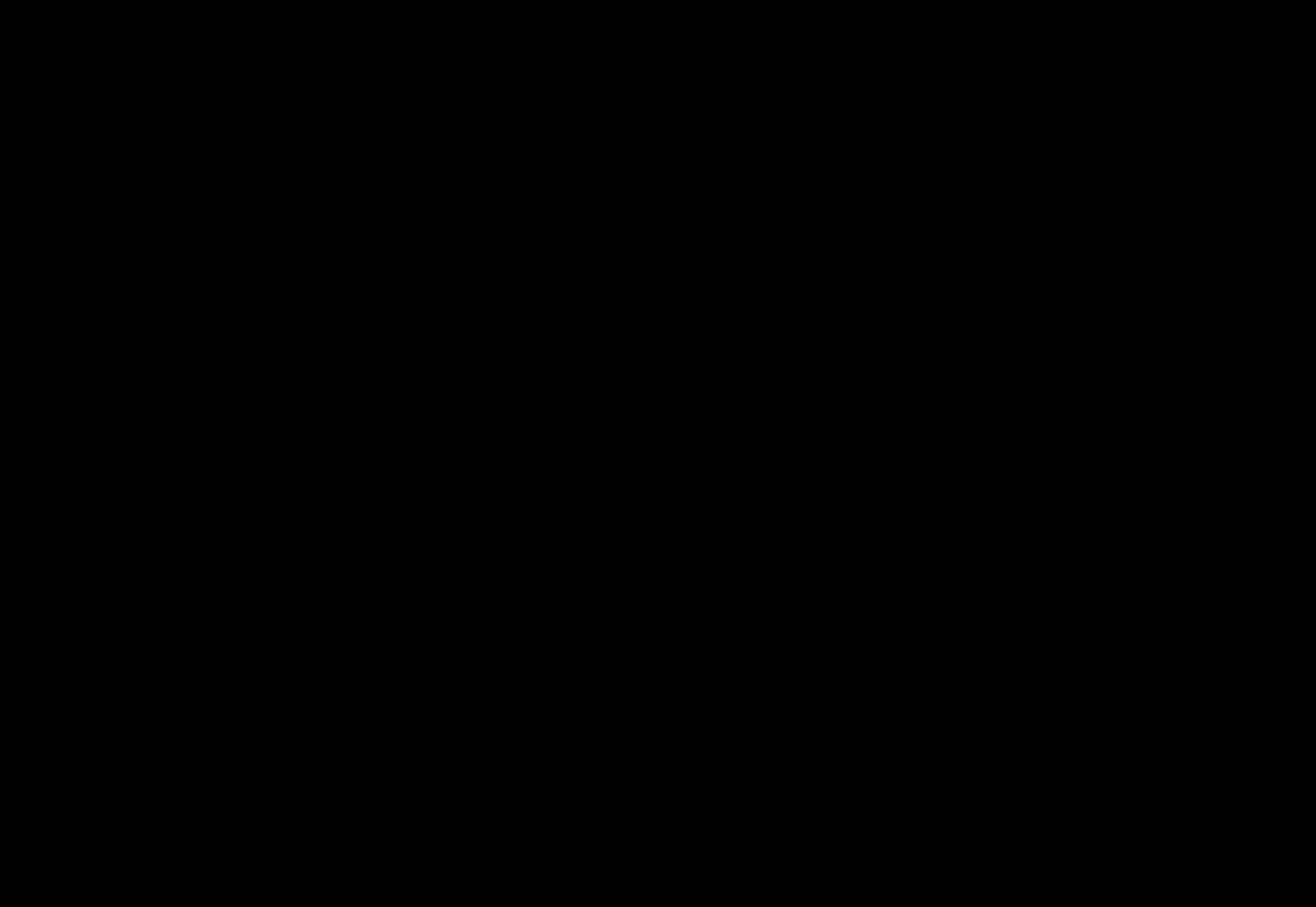 Description: Description: C:\wnew\Sacred-Energy\Black-Assassins-11\full.jpg