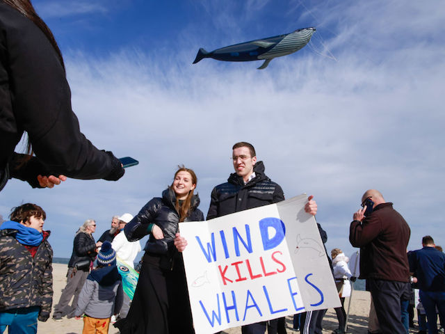 POINT PLEASANT NEW JERSEY - FEBRUARY 19: Environmentalists gather during a 'Save the Whales' rally calling for a halt to offshore wind energy development along the Jersey Shore on February 19, 2023 in Point Pleasant New Jersey. The rally, hosted by the environmental organization Clean Ocean Action, followed the deaths of numerous whales, Since Dec. 1, 2022 according to the National Oceanic and Atmospheric Administration, or NOAA 12 whales have died in NY and NJ (Photo by Kena Betancur/VIEWpress)