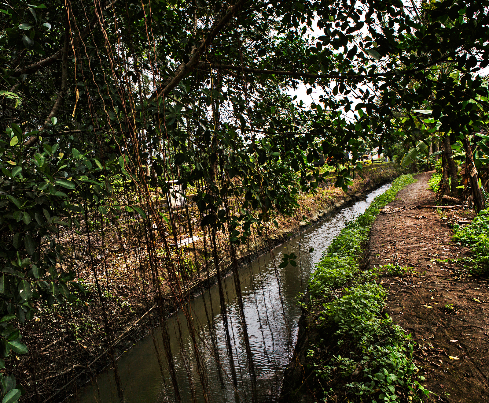 The ditch where Lieutenant Calley ordered the killing of dozens of civilians.