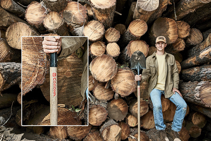 MERRITT JENKINS has every reason to look pleased as billionaires and authorities pour millions into his company. Jenkins is a co-founder of Kodama Systems and is seen here, holding a Corona-branded shovel (enlargement in inset), sitting in front of freshly cut trees in California that will soon be buried. Jenkins, who holds a master's degree in robotics, is also a co-founder of Pattern Ag, a company that analyzes soil for farmers. Therefore, Jenkins is well aware of how decaying trees are crucial for creating future arable land, a vital natural process that his other company, Kodama, is now set to hinder. Jenkins is a vital part of a project known as the Carbon Lockdown Project. Many on social media have reacted with dismay to Kodama's plans, and others wonder where the once outspoken environmental activists and "tree huggers" are now. Photo: X @forbes
