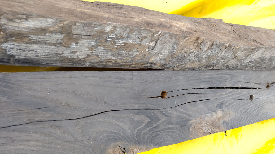 BLACK OAK is the name of oak that has been submerged in water for an extended period. The name comes from it being considerably darker than regular oak. These pieces come from the lock gate of the Swedish Göta Canal in Mem, which was built in 1832 and replaced in 2007, meaning they were submerged in water for 175 years. Wood stored in oxygen-free conditions becomes harder over time and, therefore, commands a higher price, regardless of provenance. If it is stored underground, in fresh or brackish water, it also avoids shipworms, which thrive in saltier environments. Companies like Kodama can, therefore, be expected to get much more money for the timber when it is excavated and sold. Photo: Nya Tider