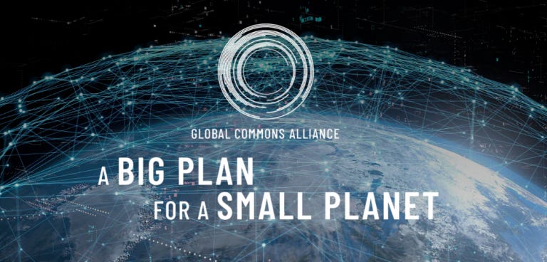 Planetary Boundaries and the Rise of Non-State Global Governance