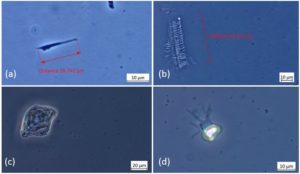 COVID vax contents