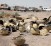 Iraqi military equipment is seen left behind [file photo]