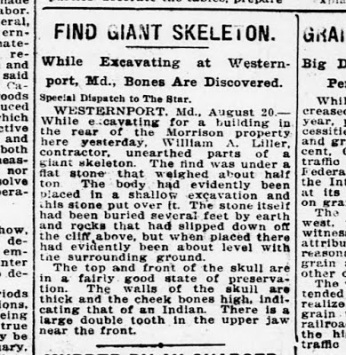3-Evening Star FIND GIANT SKELETON