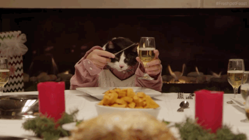 Fancy Feast