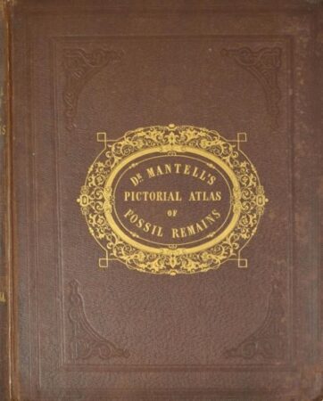 Ammonites,Antarctica,Antediluvian (Pre-flood),Archetype,Cannibalism 2,Darwinism 1,Harvard University,Hermeticism,Isis 1,Kissinger,Liberalism 2,Reptilian,Royal Society (Invisible College),The Abyss 1