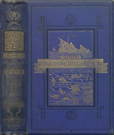 THE BOTTOM OF THE SEA BY LÉON SONREL (1875)
