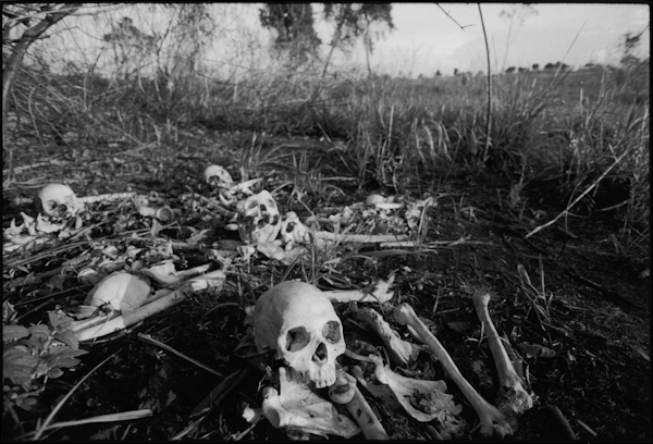 Skulls_ITURI_lo_res_1-2.jpg