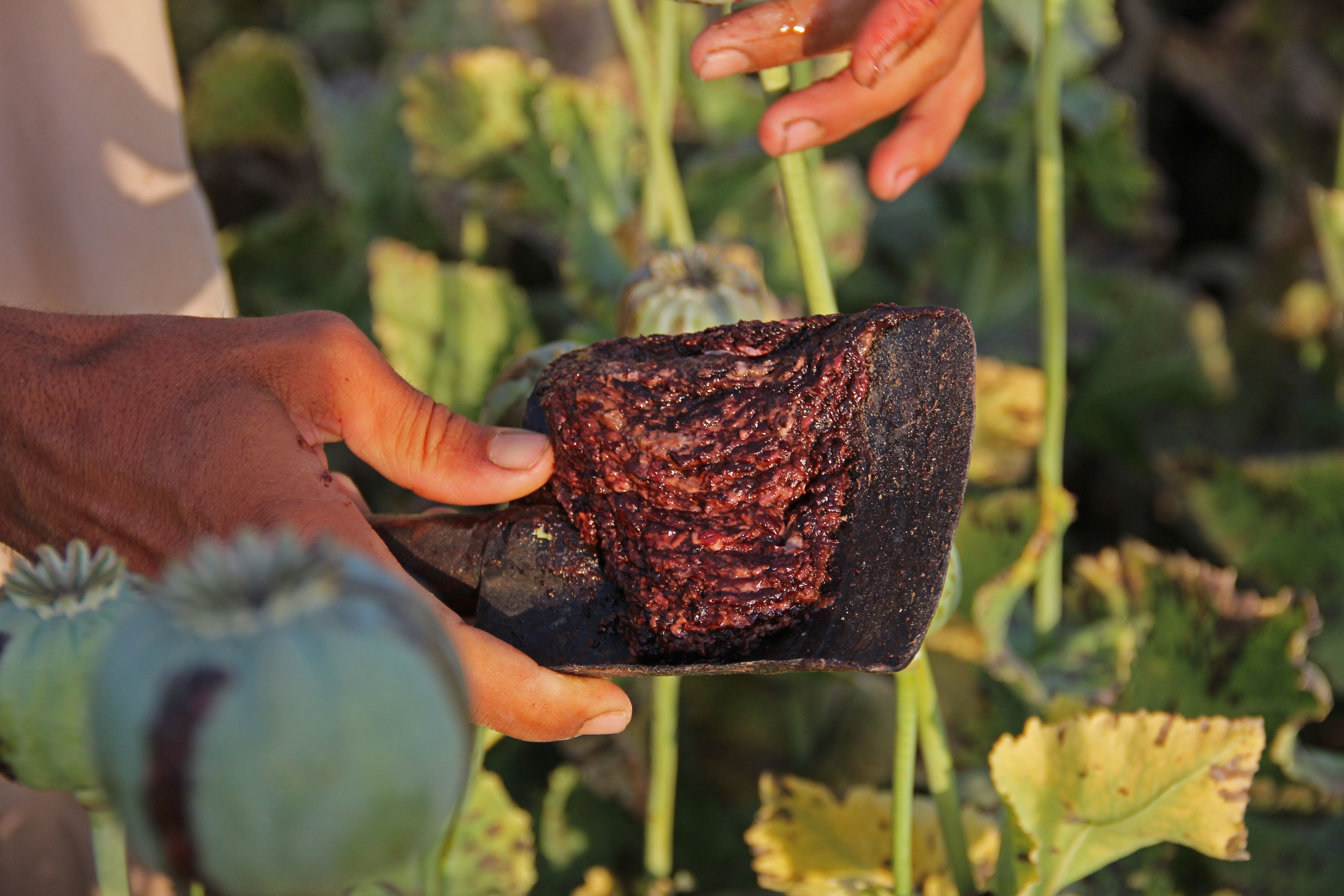 Afghanistan Opium CIA