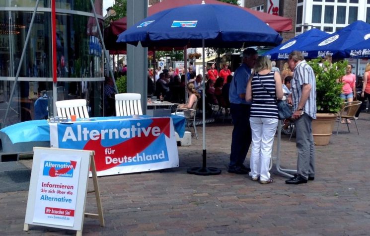 The Rise of ‘Alternative for Germany’
