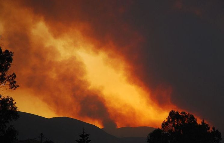 The Greek Disaster: State Inertia and the Market Economy